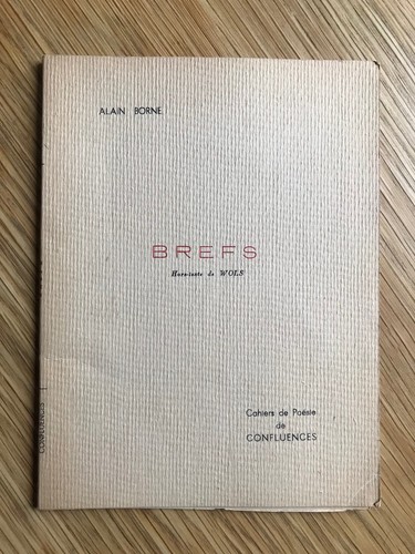 Alain borne brefs hors texte - borne,