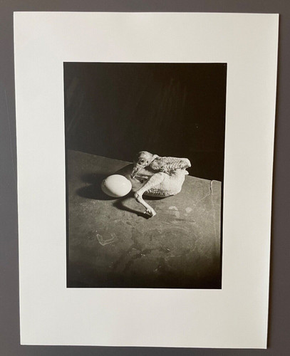Otto wols oeuf - otto, "1