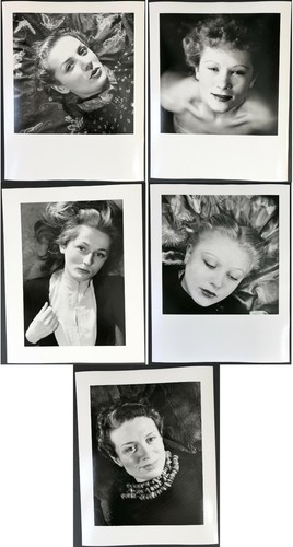 Wols fotografie - wols,
